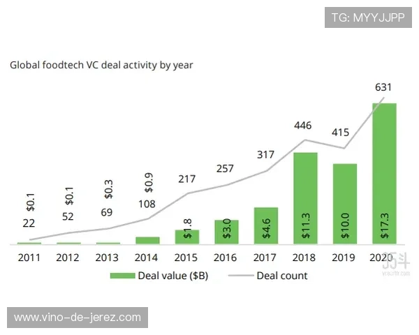 全球女足球明星全名汇总及其成就与影响力分析