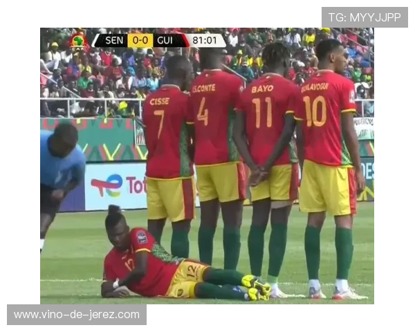 彪马足球明星阵容揭秘他们的成就与影响力分析