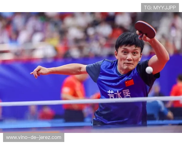 武汉乒乓球队进攻策略揭秘深度解析乒乓球技术与战术的完美结合