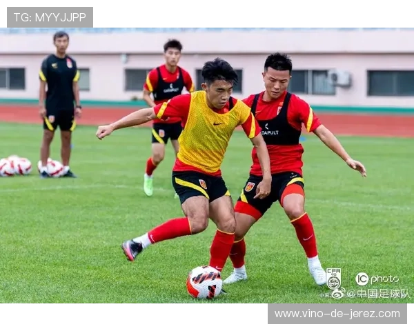 深圳乒乓球队与重庆乒乓球队赛后技术分析与战术总结