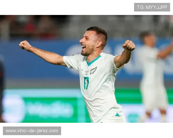 新西兰足球明星的国籍与成就揭秘及其对足球界的影响