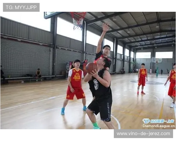 武汉排球队在钻石联赛中的比赛经验与表现分析