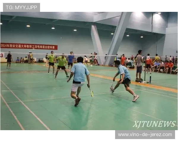 西安羽毛球队意识形态的深度剖析与发展路径探讨