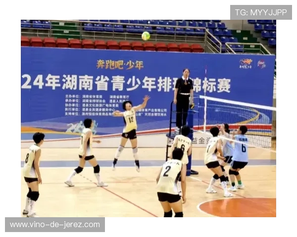 全国锦标赛特别报道：杭州篮球队勇闯逆境实现辉煌逆袭的传奇之旅